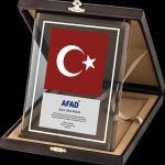 PB2004 Altın Yaldız Kristal Plaket - 2