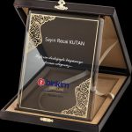 PB2008 Altın Yaldız Kristal Plaket - 2