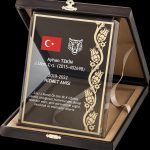 PB2010 Altın Yaldız Kristal Plaket - 1