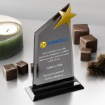 PB3003-FY Kristal Plaket - 1