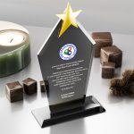 PB3006-FY Kristal Plaket - 1
