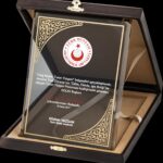 PB2011 Altın Yaldız Kristal Plaket - 3